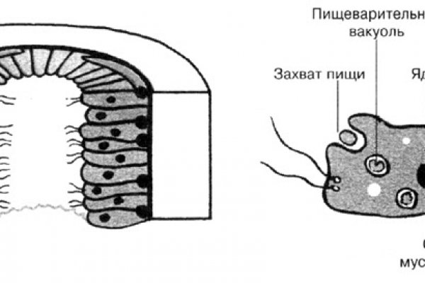 Кракен сайт в тор браузере ссылка