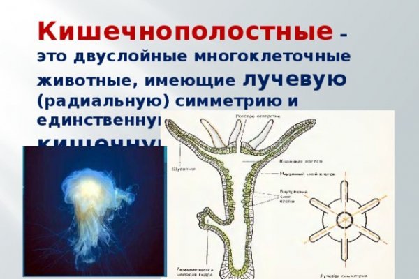 Кракен ат сайт