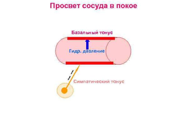 Kraken ссылка kraken014 com